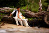 Le Meridien Khao Lak Beach Resort 